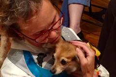 Blessing of the Animals