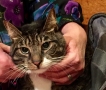christ-church-pet-blessing_30079508252_o