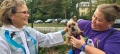 christ-church-pet-blessing_30109255221_o