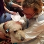 christ-church-pet-blessing_30193978875_o