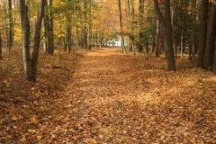 Annual Vestry Retreat
