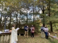 IMG_3411-preview-2