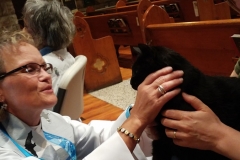 Blessing of the Animals 2017