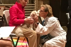 Blessing of the Animals