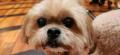 Resized_Resized_20231007_103145