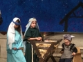 Mary Joseph Donkey