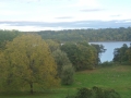 SAM_3628
