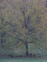 SAM_3641